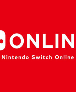 Nintendo ID null